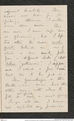 Nachlass Franz Steindachner, Brief von Alexander Goodman More an Franz Steindachner (05.11.1878), Inv.Nr. 349.04, Seite 7